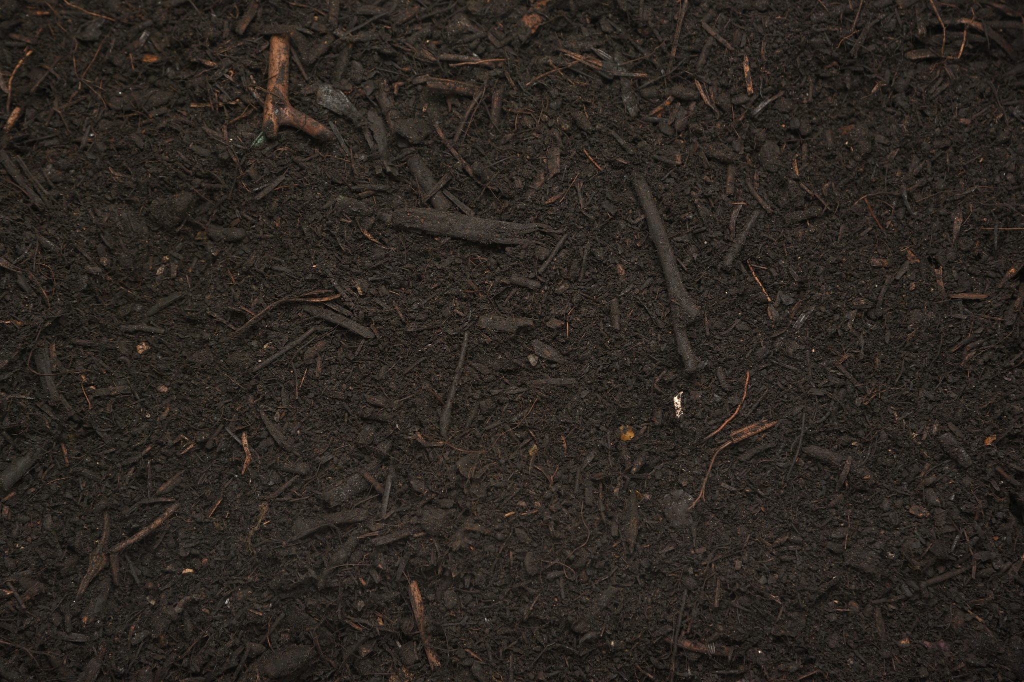 Compost Soil Conditioner Grundon Sand & Gravel