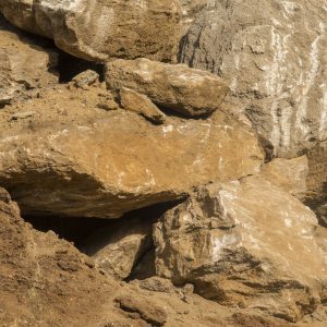 Rockery Stones